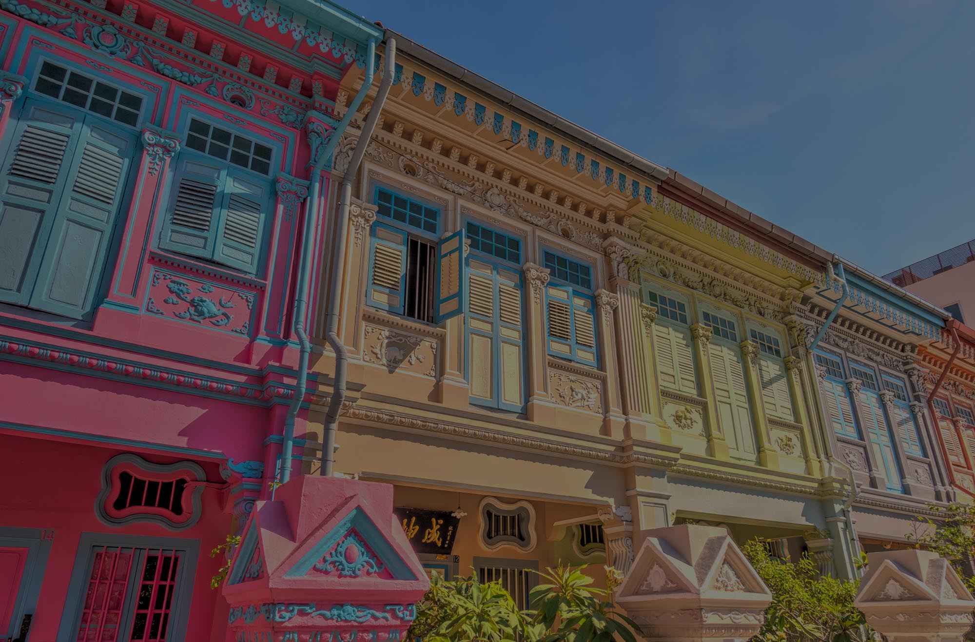 Wealth Management Firm Singapore Expat Advisory Wealth Management Firm Singapore Expat Advisory
